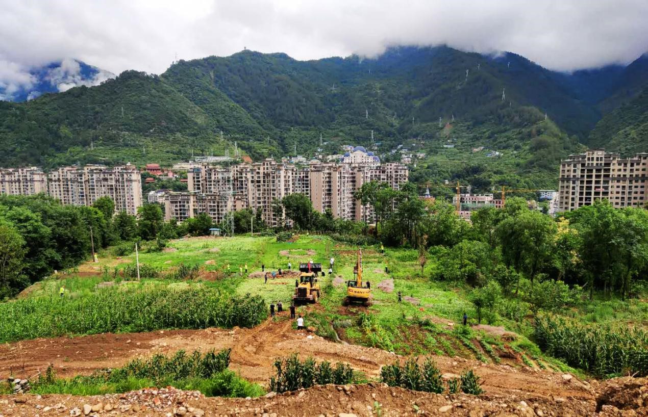 1594723142908446.jpg 1.jpg